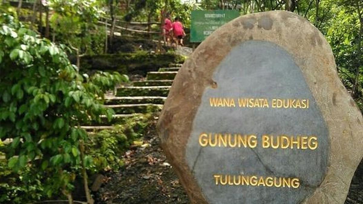 Img 20240813 Wa0036