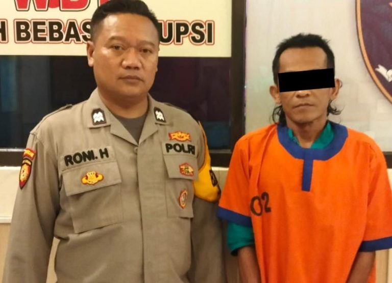 Img 20241125 Wa0187 768x556