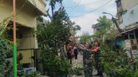 Img 20241130 Wa0191