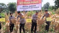 Img 20250322 Wa0411