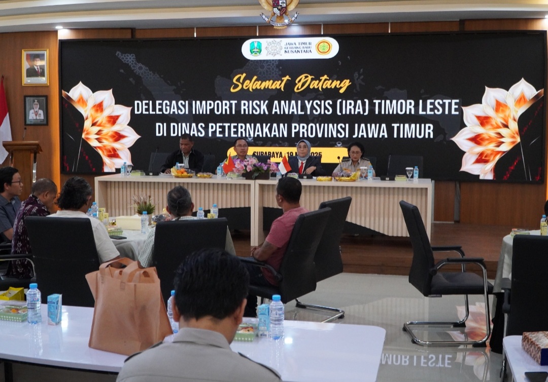 Screenshot 20250519 201242 Chrome