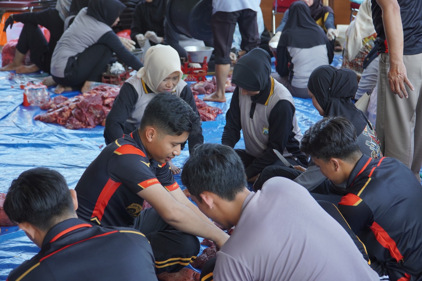 Img 20250610 Wa0245
