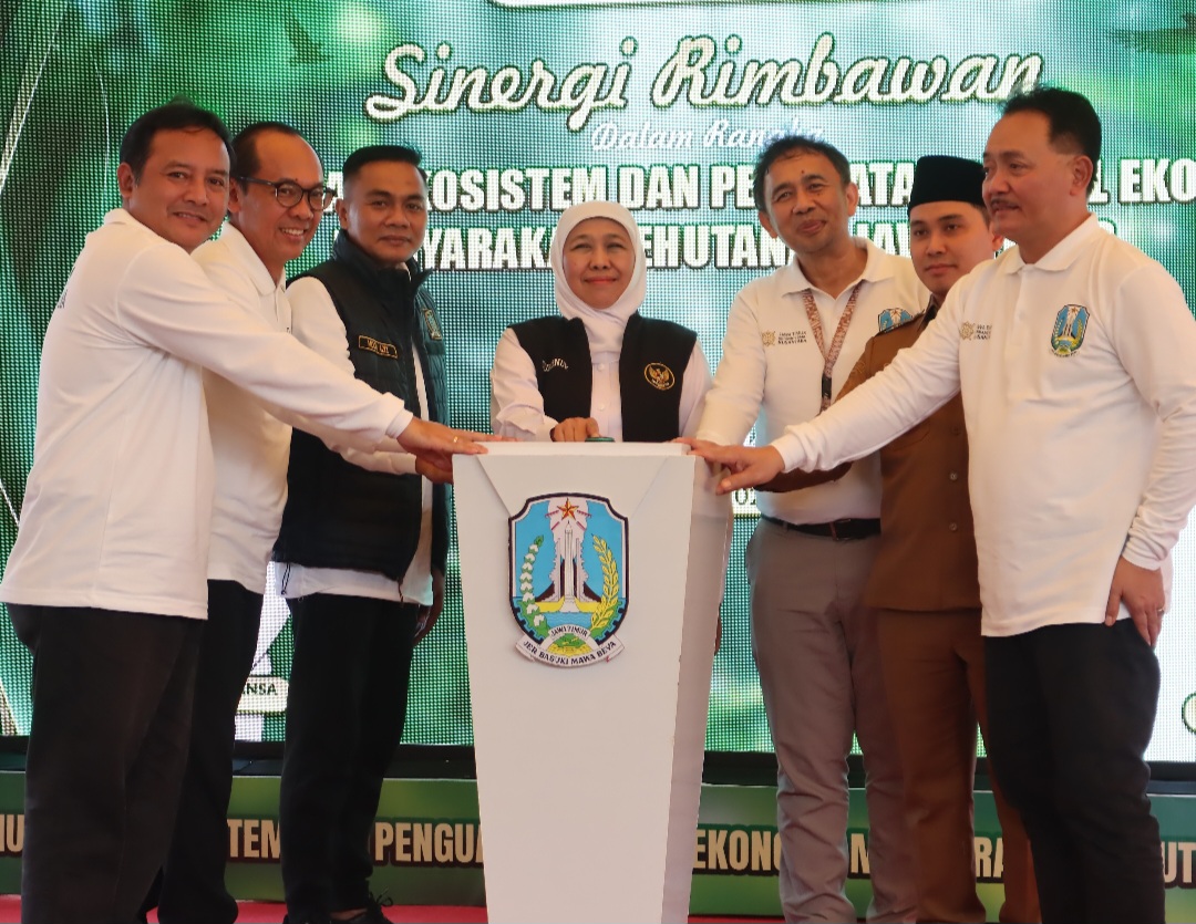 Screenshot 20250724 014540 Chrome