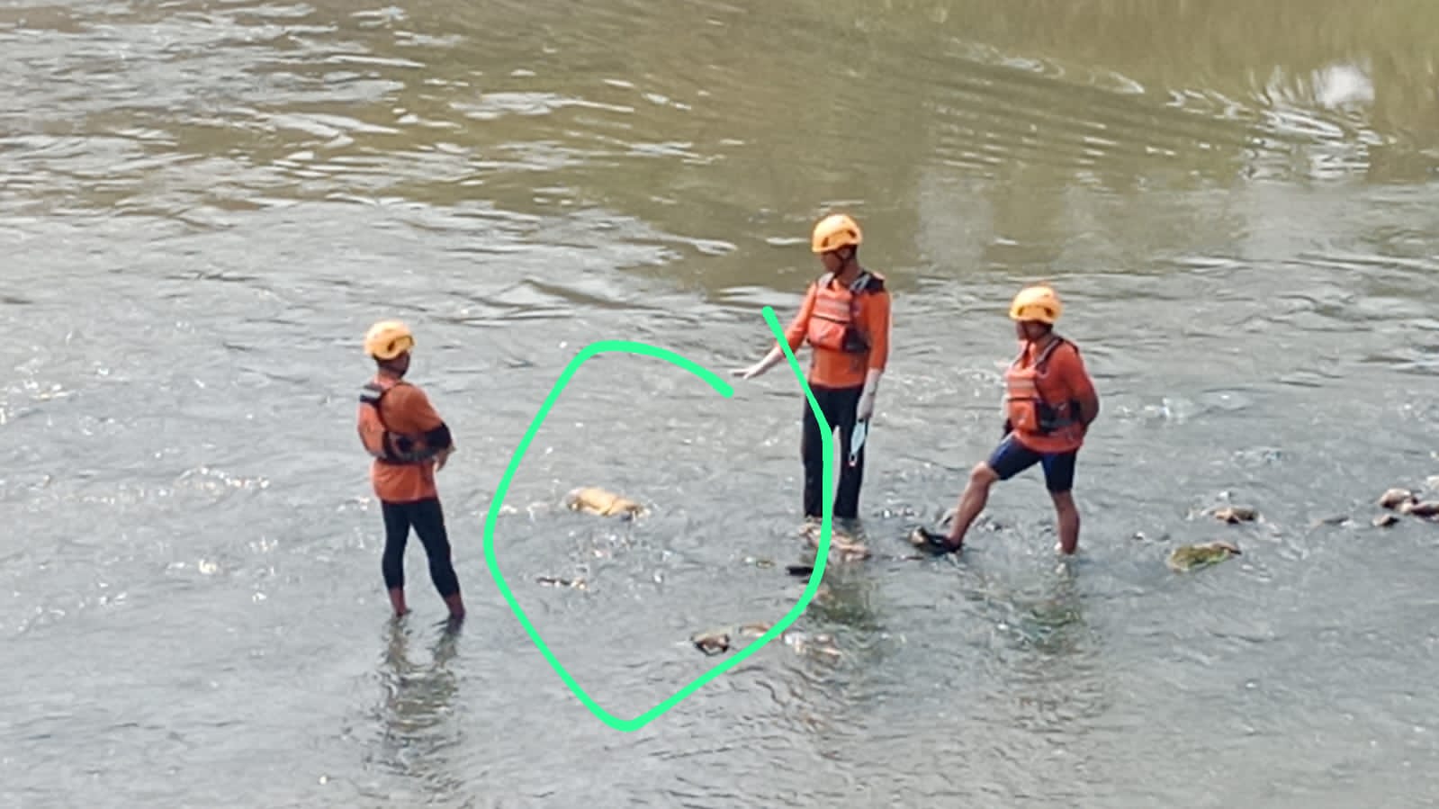 Img 20250808 Wa0090