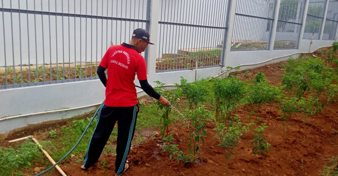 Img 20250826 Wa0051(1)