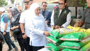 Screenshot 20251030 000311 Chrome