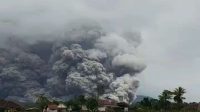 Foto: Erupsi Gunung Semeru dengan kolom abu setinggi 2.000 meter terlihat dari kawasan Lumajang, Jawa Timur.