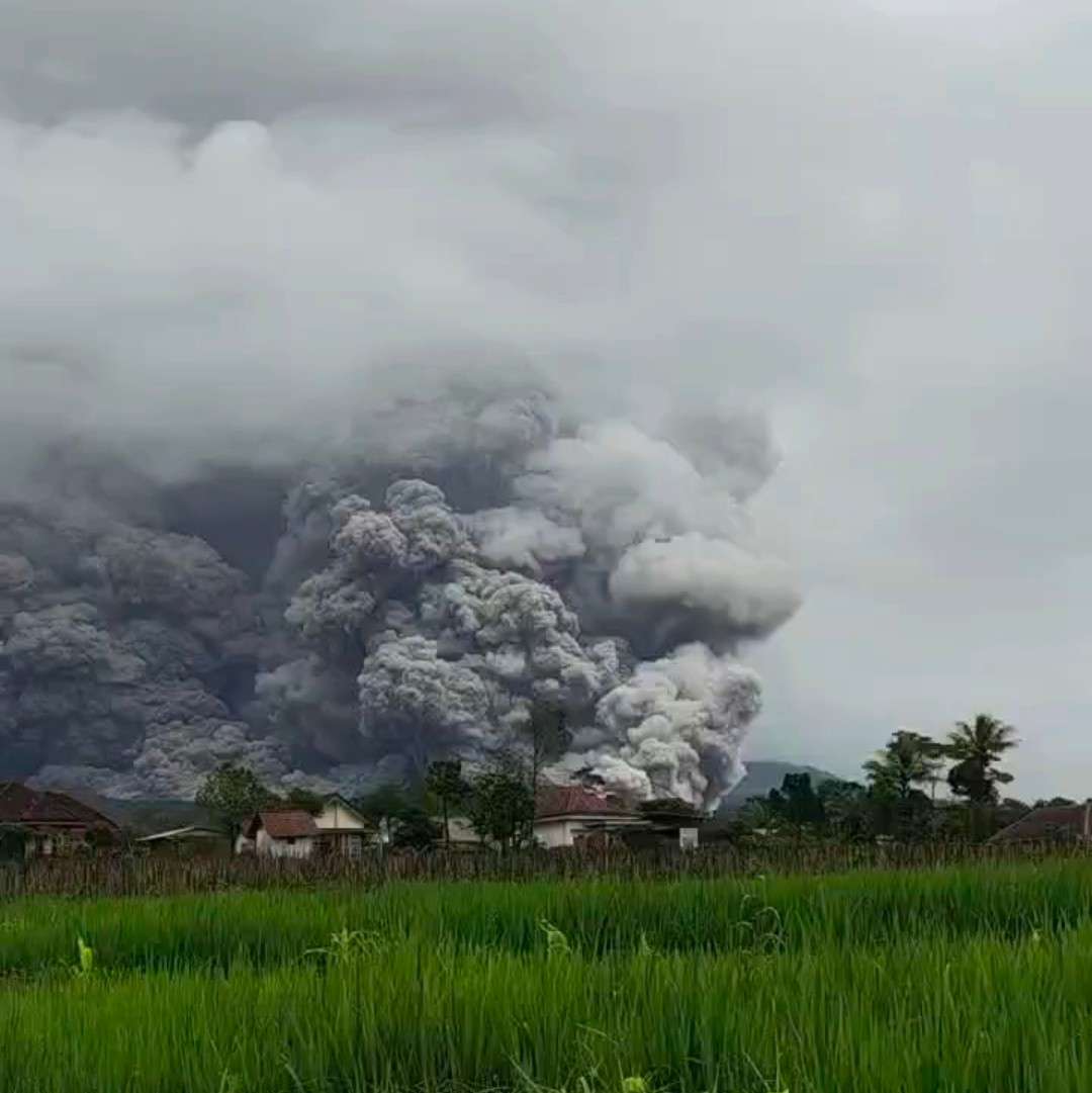 Foto: Erupsi Gunung Semeru dengan kolom abu setinggi 2.000 meter terlihat dari kawasan Lumajang, Jawa Timur.