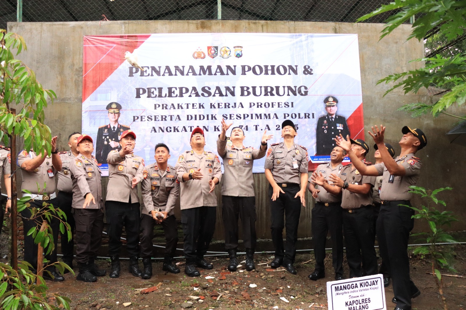 Img 20251112 Wa0454