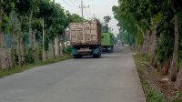 Img 20251130 Wa0453