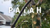 Foto: Cover single “Patah” Dindapobia dengan visual batang tanaman patah sebagai simbol kesedihan dan kehilangan.