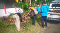 Img 20260124 Wa0131