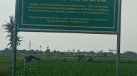 Img 20260129 Wa0015