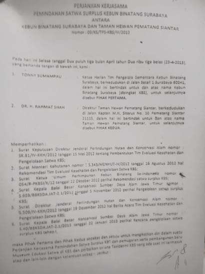 Foto: Dokumen dugaan penjarahan 420 satwa Kebun Binatang Surabaya yang diklaim sebagai bukti otentik kasus KBS