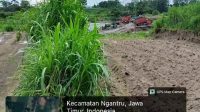 Img 20260203 Wa0035