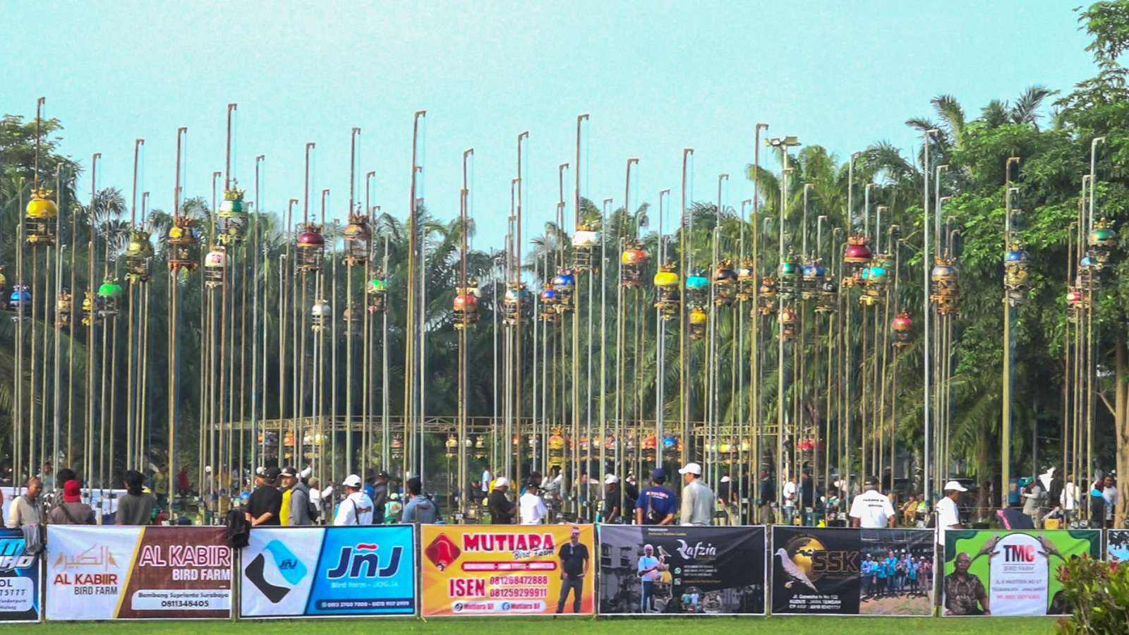 Foto: Bupati Madiun Hari Wuryanto membuka konkurs burung perkutut nasional di Alun-alun Reksogati Caruban dengan pelepasan burung
