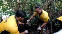 Foto: Petugas gabungan tiga pilar Asemrowo melakukan aksi bersih sampah di Kampung Warna-Warni dan kawasan pesisir Shontoh Laut Surabaya dalam rangka Hari Bumi 2026