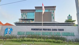 B8ba8f23 2bed 4250 ad55 3342736161c5 905x613