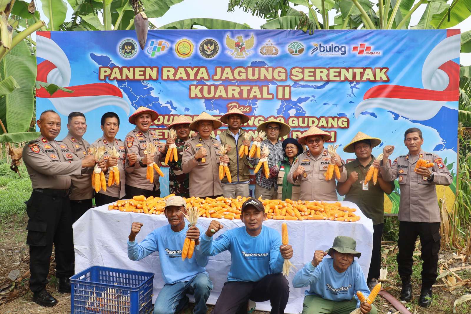 Foto: Personel Polsek Kenjeran bersama warga dan petani saat kegiatan panen raya jagung di Tambak Wedi Baru Surabaya