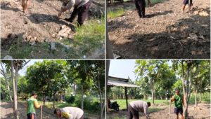 Foto: Bhabinkamtibmas Kelurahan Jambangan bersama kelompok tani melakukan penanaman jagung di lahan produktif Surabaya untuk mendukung ketahanan pangan nasional.