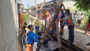 Foto: Petugas gabungan BPBD dan DPKP Surabaya mengevakuasi sapi yang tercebur ke sungai di Jalan Raci Gang 2 Benowo Surabaya.
