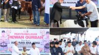 Foto: Kapolres Madiun Kota AKBP Wiwin Junianto saat kegiatan penyembelihan dan penyaluran hewan kurban Idul Adha 1447 H di Mapolres Madiun Kota.