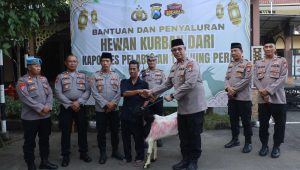 Foto: Penyerahan hewan kurban oleh Polres Pelabuhan Tanjung Perak kepada masyarakat pada perayaan Iduladha 1447 Hijriah di Surabaya.