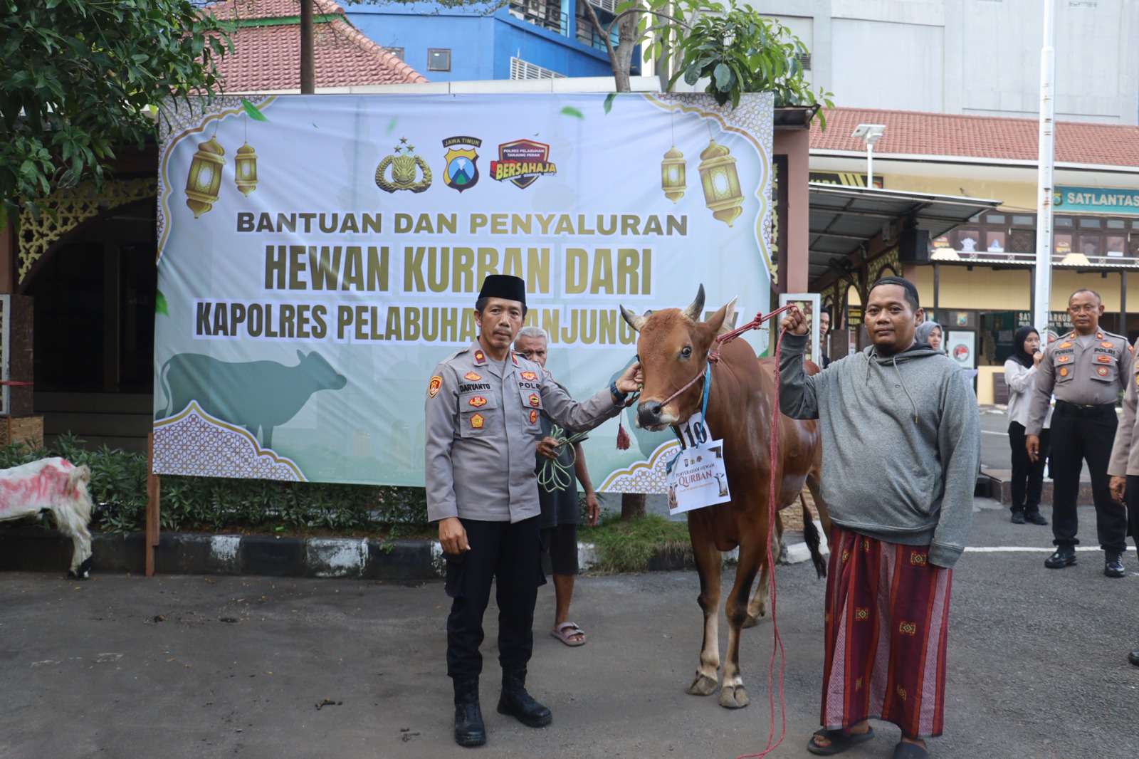 Foto: Penyerahan hewan kurban oleh Polres Pelabuhan Tanjung Perak kepada masyarakat pada perayaan Iduladha 1447 Hijriah di Surabaya.