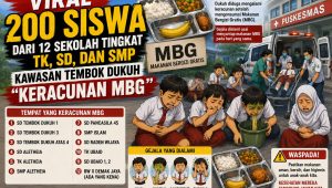 IMG 20260511 WA0030