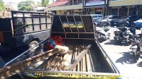 IMG 20260531 WA0072
