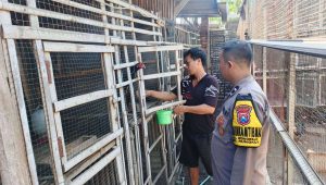 Foto: Aipda Denny Syaiful Amri saat patroli sambang dan berdialog dengan pemilik peternakan ayam petelur di Wonorejo Selatan, Kecamatan Rungkut, Surabaya, dalam rangka mendukung program ketahanan pangan nasional.