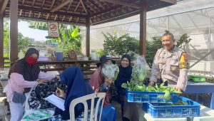 Foto: Bhabinkamtibmas Perak Barat mendampingi panen sayuran hidroponik bersama Kelompok Wanita Tani Dorang Cinta di Surabaya dalam mendukung program ketahanan pangan nasional.