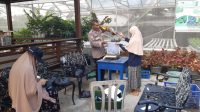Foto: Polsek Krembangan bersama PPL Surabaya dan KWT Dorang Cinta saat panen raya ikan lele sebanyak 90 kilogram di lahan ketahanan pangan Kelurahan Perak Barat Surabaya.