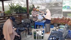 Foto: Polsek Krembangan bersama PPL Surabaya dan KWT Dorang Cinta saat panen raya ikan lele sebanyak 90 kilogram di lahan ketahanan pangan Kelurahan Perak Barat Surabaya.