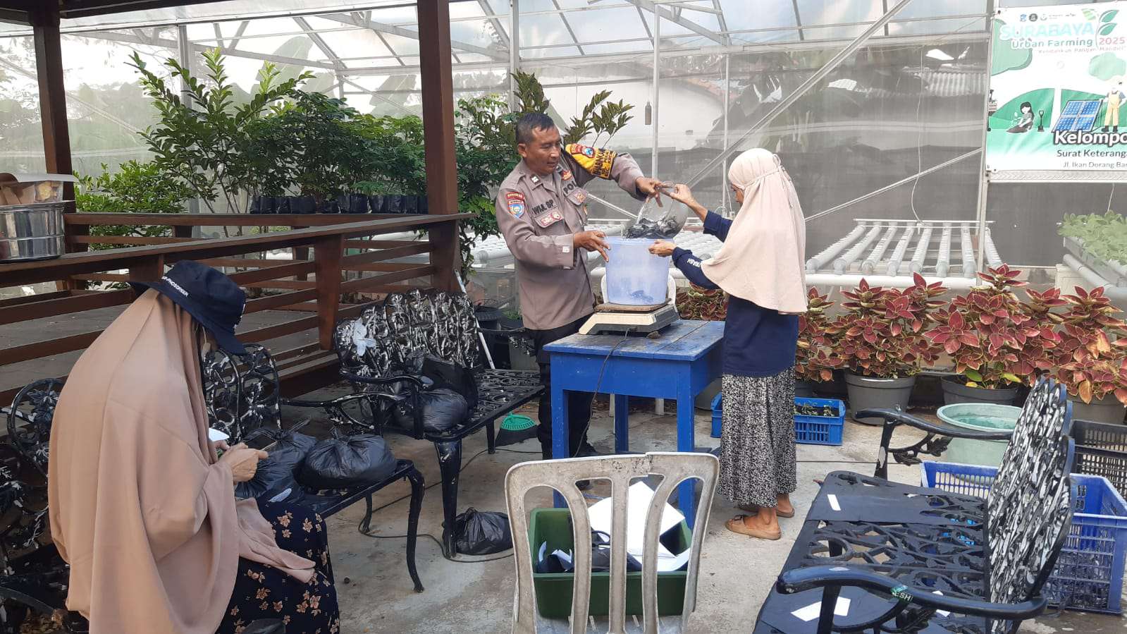 Foto: Polsek Krembangan bersama PPL Surabaya dan KWT Dorang Cinta saat panen raya ikan lele sebanyak 90 kilogram di lahan ketahanan pangan Kelurahan Perak Barat Surabaya.