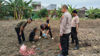 Foto: Polsek Kenjeran bersama PPL Kota Surabaya melakukan pengecekan pH tanah di lahan jagung ketahanan pangan milik Polres Pelabuhan Tanjung Perak.