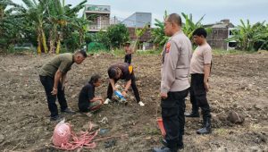 Foto: Polsek Kenjeran bersama PPL Kota Surabaya melakukan pengecekan pH tanah di lahan jagung ketahanan pangan milik Polres Pelabuhan Tanjung Perak.