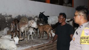 Foto: Bhabinkamtibmas Kelurahan Sumberrejo AIPTU Andi Nurcahyanto saat mengunjungi peternakan kambing milik warga di Kecamatan Pakal Surabaya untuk mendukung program ketahanan pangan nasional.