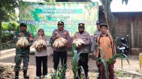 IMG 20260603 WA0005