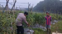 IMG 20260604 WA0019