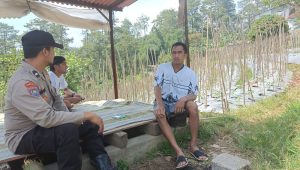 IMG 20260606 WA0019