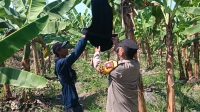 IMG 20260622 WA0018