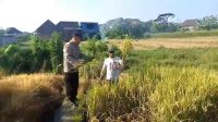 IMG 20260624 WA0041