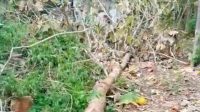 IMG 20260626 WA0025