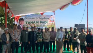 IMG 20260702 WA0000