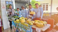IMG 20260712 WA0025