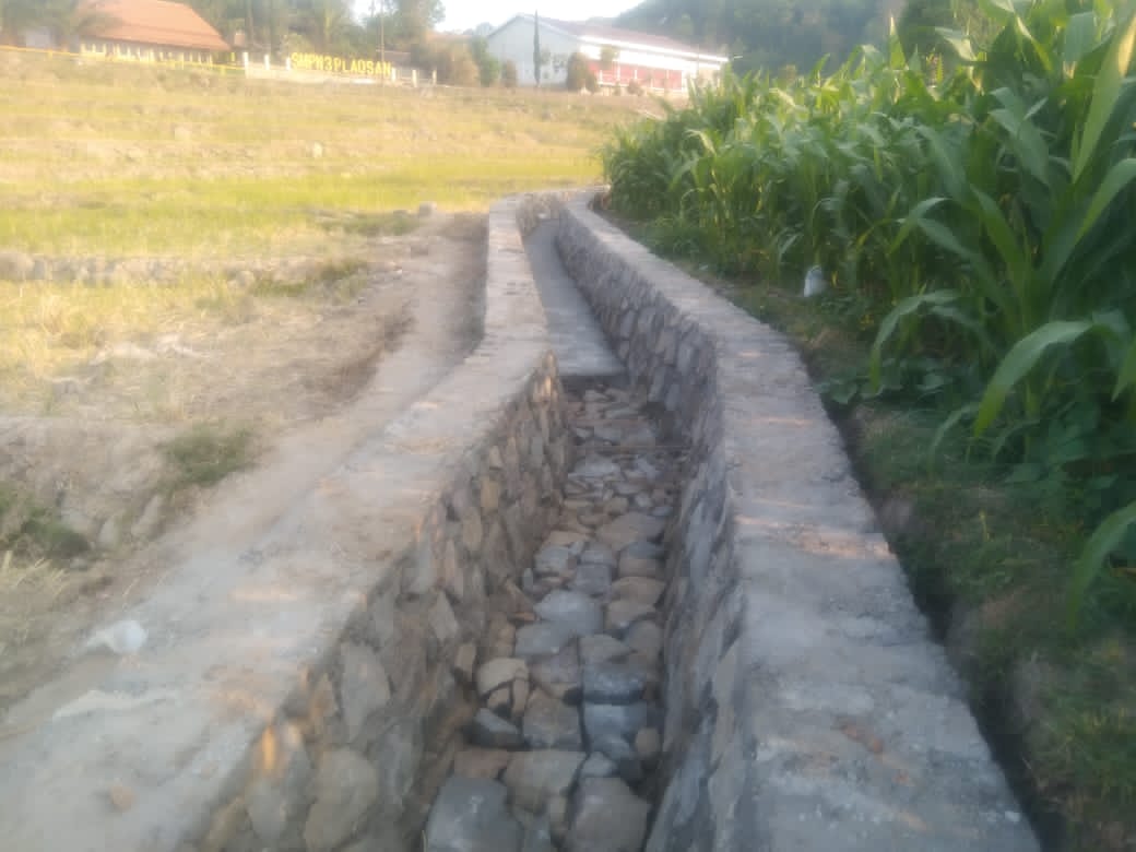 IMG 20260715 WA0003