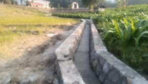 IMG 20260715 WA0004