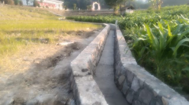 IMG 20260715 WA0004