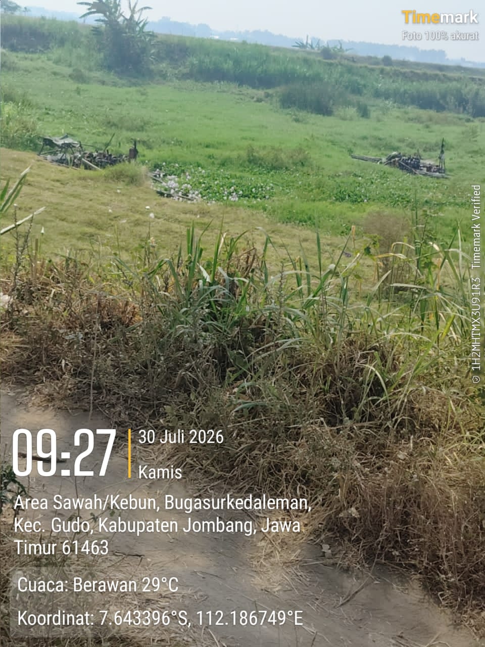 IMG 20260730 WA0021